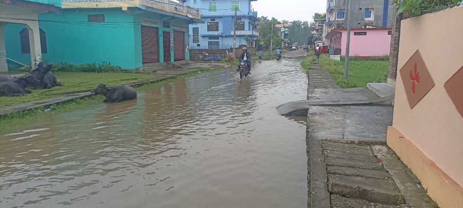 आज सबै प्रदेशका  वर्षाको सम्भावना